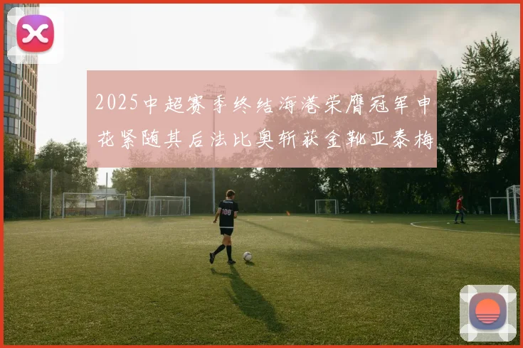 2025中超赛季终结海港荣膺冠军申花紧随其后法比奥斩获金靴亚泰梅州遗憾降级