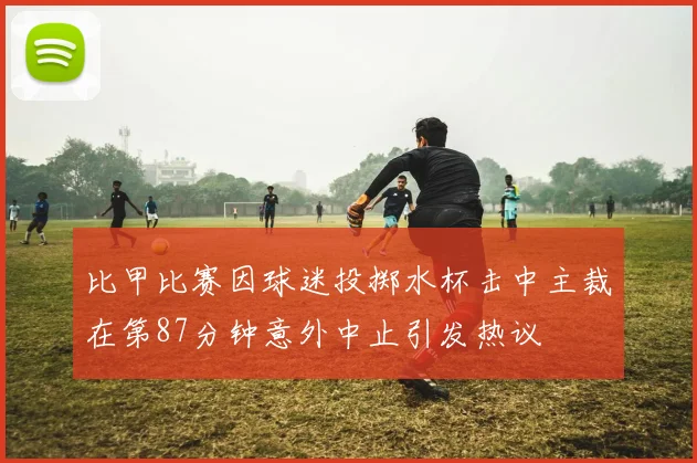比甲比赛因球迷投掷水杯击中主裁在第87分钟意外中止引发热议
