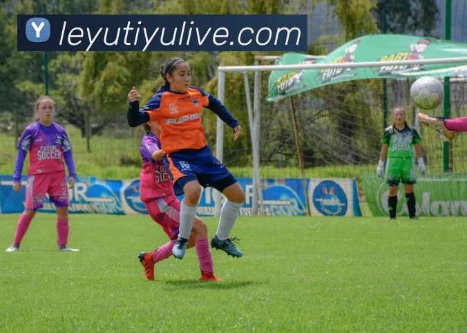 乐鱼体育平台生态图