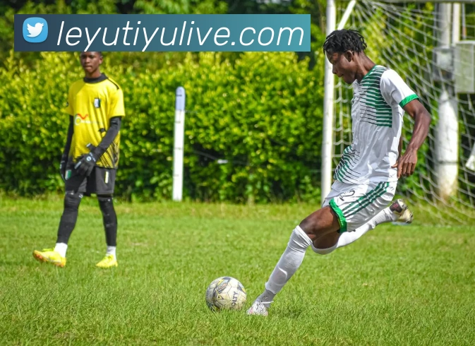 乐鱼体育APP 封面图